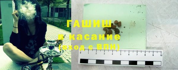 стаф Алзамай