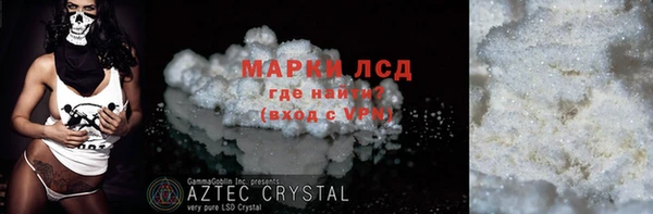 стаф Алзамай