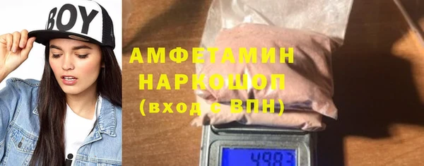 стаф Алзамай