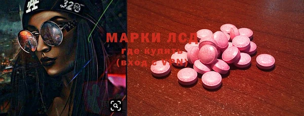 стаф Алзамай